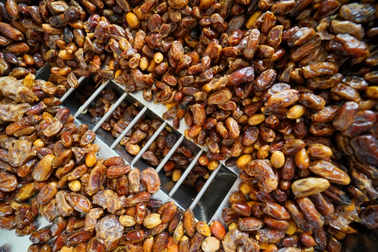 شركات تصدير التمور فى مصر